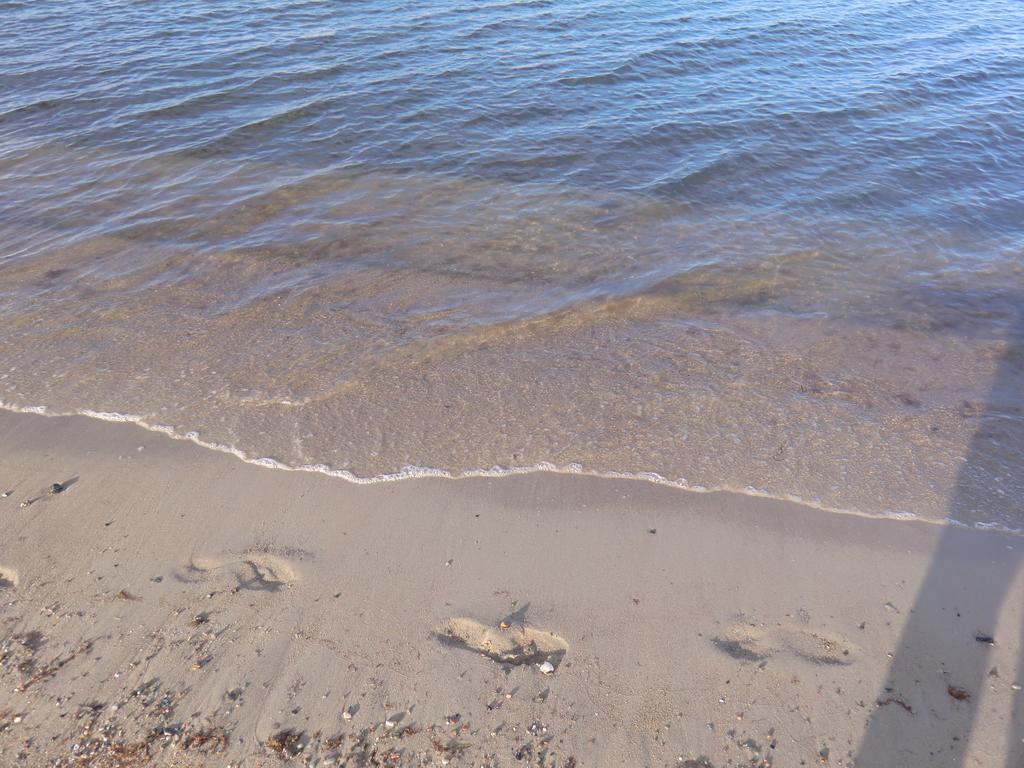 Boeltser Hus Ferienwohnungen Mit Strandkorb Und Kamin 10 Gehminuten Zum Kurtaxefreien Sandstrand Kraksdorf 외부 사진
